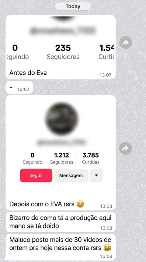 Conversa de WhatsApp: conta do TikTok com 235 seguidores antes do EVA e 1.212 depois, com a mensagem sobre postar mais de 30 vídeos de um dia para o outro